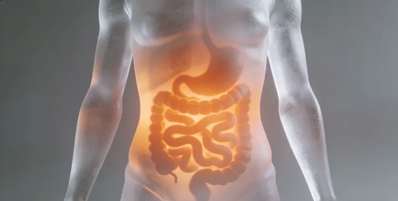 许昌肠癌甲基化检测图片1